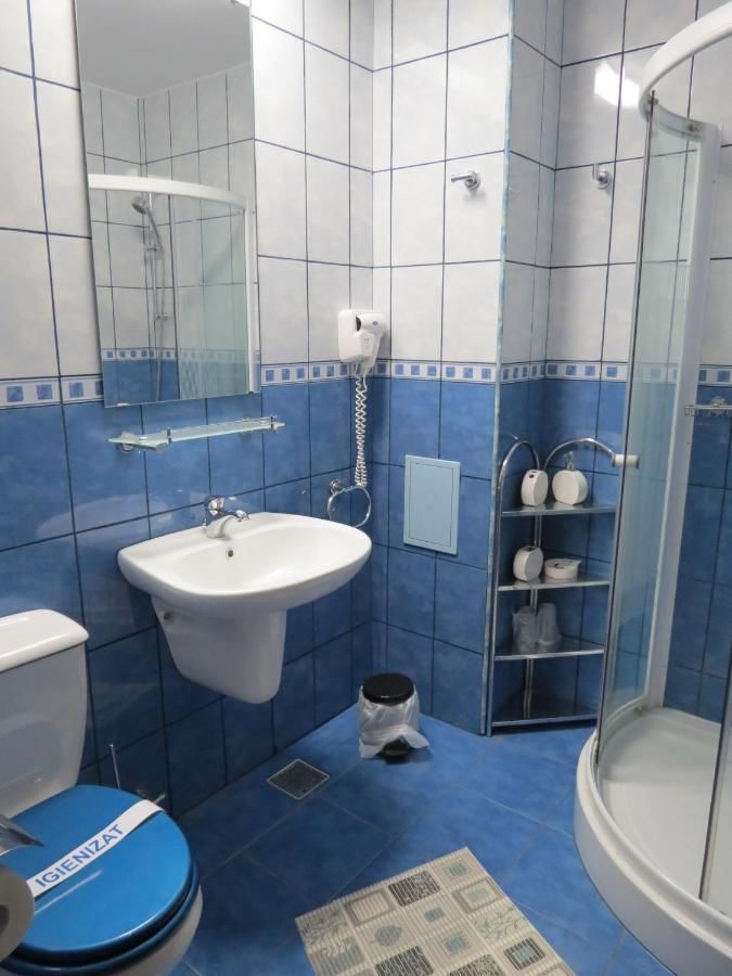 Гостевой дом Vila Piano Буштени